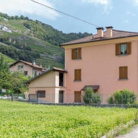 Joy Valtellina Per Amanti Degli Animali Hotell Tresenda Exteriör bild