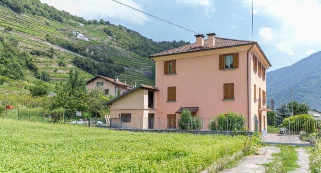 Joy Valtellina Per Amanti Degli Animali Hotell Tresenda Exteriör bild